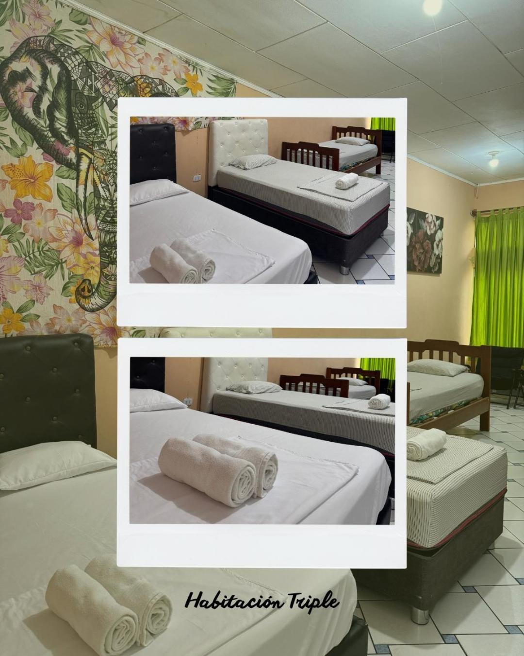 Iguana Haus Iquitos Lejlighed Eksteriør billede